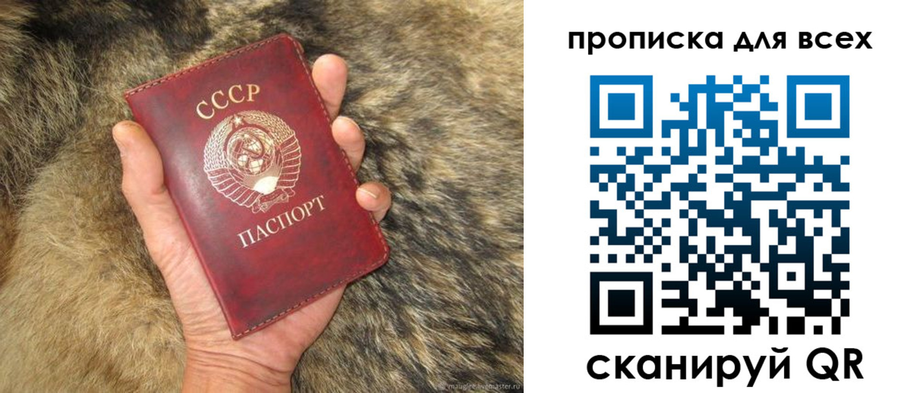 прописка в квартире в Дигоре
